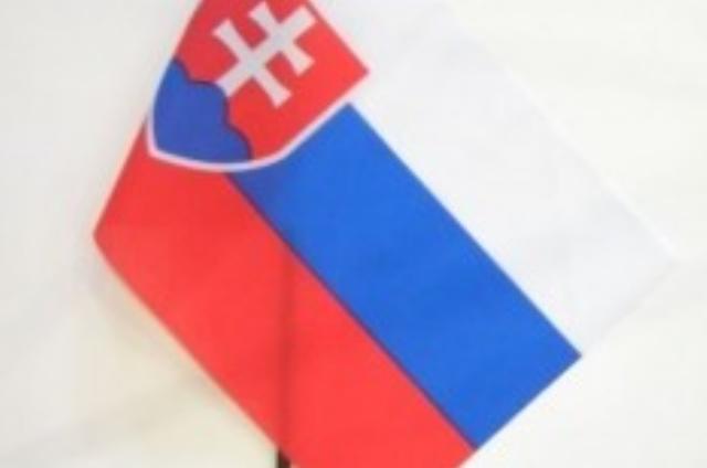 Handheld Car Flag (30x45cm)