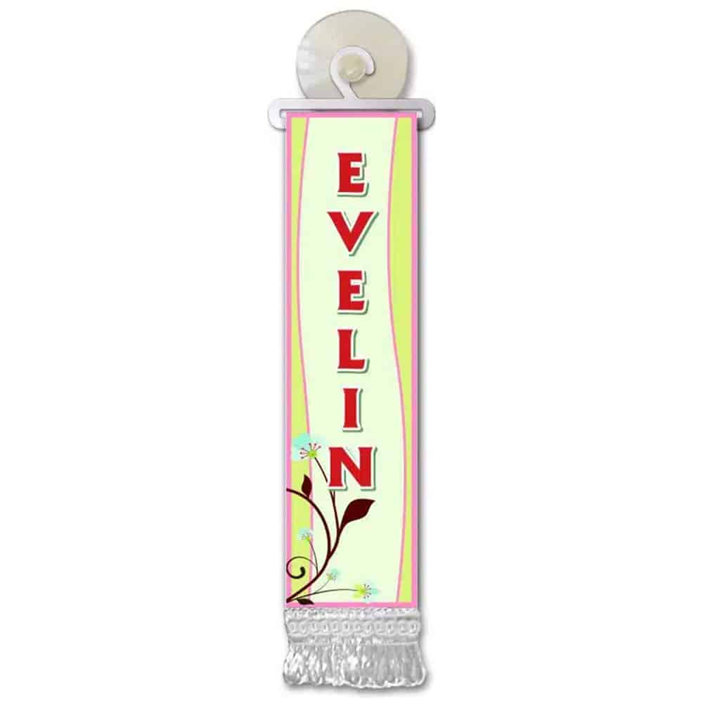 Mini Flag with Name A-E