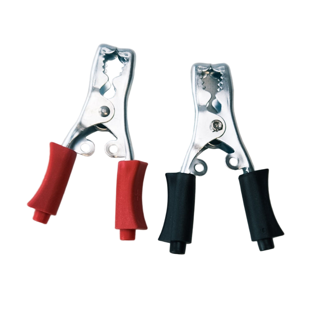 Par de pinzas para batería