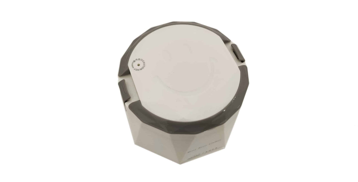 Cuociriso Elettrico Portatile per Camion 1,3L